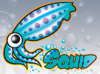 Squid-cache1