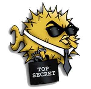 OpenSSH