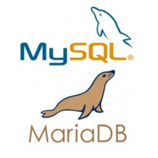 Mariadb show databases
